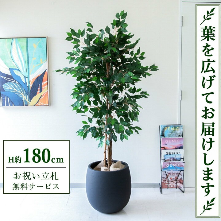 楽天市場】フェイクグリーン 観葉植物 人工観葉植物 フィカス 