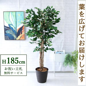 フェイクグリーン フィカス ベンジャミン ツリー H約185cm 鉢付き / 人工観葉植物 観葉植物 フェイク 造花 大型 大きい 店舗 装飾 開店 開業 移転 祝い ギフト プレゼント おしゃれ 住宅展示場