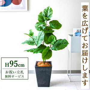 フェイクグリーン ウンベラータ H約95cm 鉢付き / 人工観葉植物 観葉植物 フェイク 造花 店舗 装飾 開店 開業 移転 祝い ギフト プレゼント おしゃれ 住宅展示場 モデルハウス オフィス 立札無