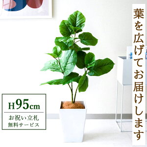 tFCNO[ Ex[^ H95cm t / lHϗtA ϗtA tFCN  X  JX J ړ] j Mtg v[g  ZW fnEX ItBX D