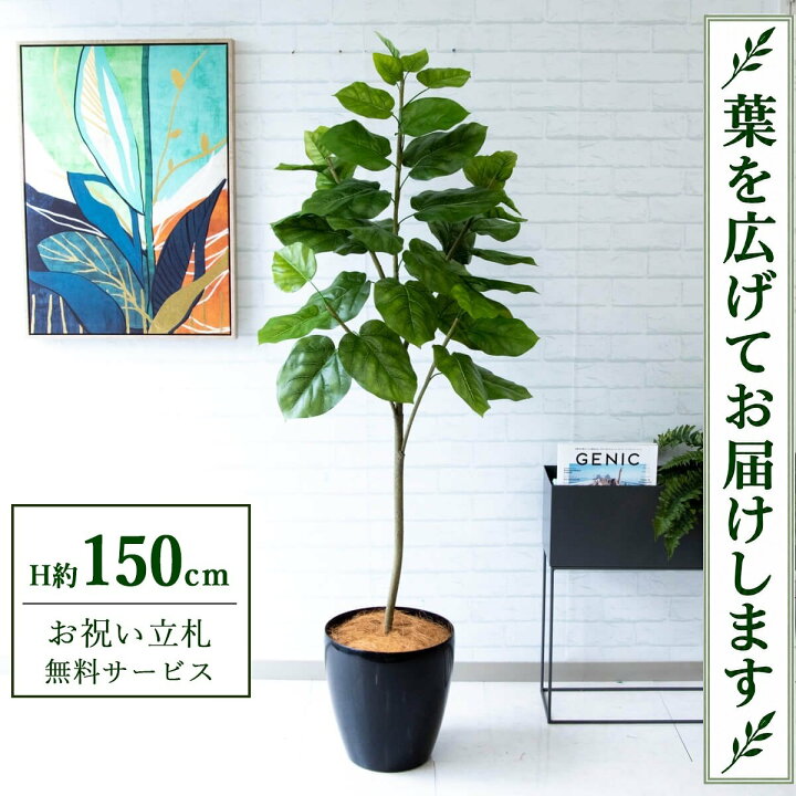 楽天市場】フェイクグリーン 観葉植物 人工観葉植物 フィカス 