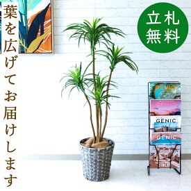 人工 観葉植物 フェイク グリーン ユッカポット H約120cm 店舗 装飾 開店 開業 移転 祝い ギフト プレゼント 住宅展示場 モデルハウス オフィス [お祝い立札無料]【PG013-MEL26GY ユッカポット H約120cm/バスケット鉢】