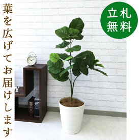 人工 観葉植物 フェイク グリーン ウンベラータ H約100cm 店舗 装飾 開店 開業 移転 祝い ギフト プレゼント 住宅展示場 モデルハウス オフィス [お祝い立札無料]【PG094-B240WH ウンベラータ H約100cm/ポリプロピレン鉢 】