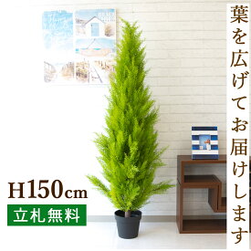 人工 観葉植物 フェイク グリーン ゴールドクレスト H約150cm 店舗 装飾 開店 開業 移転 祝い ギフト プレゼント 住宅展示場 モデルハウス オフィス [お祝い立札無料]【PG140 ゴールドクレスト H約150cm/ポリプロピレン鉢 】