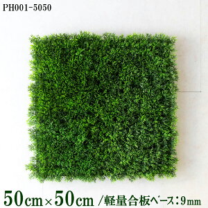 ԕǖʗΉ{[hy{HƎҗlz50cm×50cm yʍx[X / gݍ킹͎RII O[pl EH[O[ tFCN Ǌ| lHϗt  X X  fBXvC C