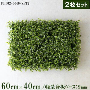 ԕǖʗΉ{[hy{HƎҗlz60cm×40cmTCY{[h×2Zbg yʍx[X / gݍ킹͎RII O[pl EH[O[ tFCN Ǌ|  X X  