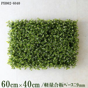 ԕǖʗΉ{[hy{HƎҗlz60cm×40cm yʍx[X / gݍ킹͎RII O[pl EH[O[ tFCN Ǌ| lHϗt  X X  fBXvC C