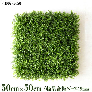 ԕǖʗΉ{[hy{HƎҗlz50cm×50cm yʍx[X / gݍ킹͎RII O[pl EH[O[ tFCN Ǌ| lHϗt  X X  fBXvC C