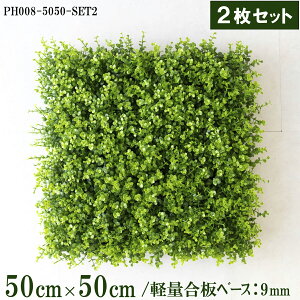 ԕǖʗΉ{[hy{HƎҗlz50cm×50cmTCY{[h×2Zbg yʍx[X / gݍ킹͎RII O[pl EH[O[ tFCN Ǌ|  X X  