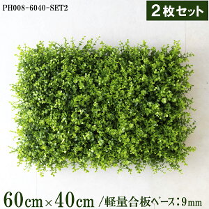 ԕǖʗΉ{[hy{HƎҗlz60cm×40cmTCY{[h×2Zbg yʍx[X / gݍ킹͎RII O[pl EH[O[ tFCN Ǌ|  X X  