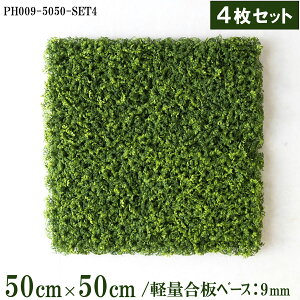 ԕǖʗΉ{[hy{HƎҗlz50cm×50cmTCY{[h×4Zbg yʍx[X / gݍ킹͎RII O[pl EH[O[ tFCN Ǌ|  X X  