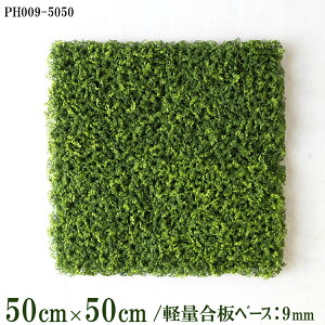 ԕǖʗΉ{[hy{HƎҗlz50cm×50cm yʍx[X / gݍ킹͎RII O[pl EH[O[ tFCN Ǌ| lHϗt  X X  fBXvC C