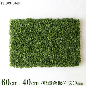 ԕǖʗΉ{[hy{HƎҗlz60cm×40cm yʍx[X / gݍ킹͎RII O[pl EH[O[ tFCN Ǌ| lHϗt  X X  fBXvC C