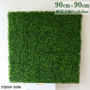 ԕǖʗΉ{[hy{HƎҗlz90cm×90cm yʍx[X / gݍ킹͎RII O[pl EH[O[ tFCN Ǌ| lHϗt  X X  fBXvC C