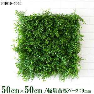 ԕǖʗΉ{[hy{HƎҗlz50cm×50cm yʍx[X / gݍ킹͎RII O[pl EH[O[ tFCN Ǌ| lHϗt  X X  fBXvC C