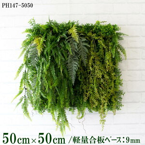 ԕǖʗΉ{[hy{HƎҗlz50cm×50cm yʍx[X / gݍ킹͎RII O[pl EH[O[ tFCN Ǌ| lHϗt  X X  fBXvC C