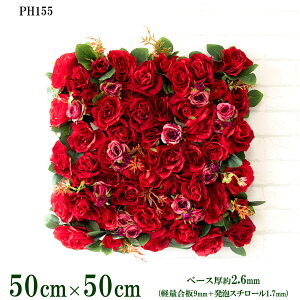 ԕǖʗΉ{[hy{HƎҗlz50cm×50cm yʍx[X / gݍ킹͎RII O[pl EH[O[ tFCN Ǌ| lHϗt  X X  fBXvC C