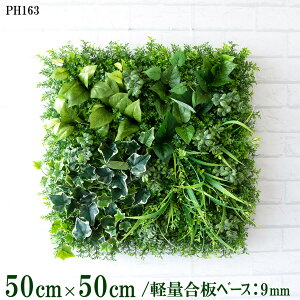 ԕǖʗΉ{[hy{HƎҗlz50cm×50cm yʍx[X / gݍ킹͎RII O[pl EH[O[ tFCN Ǌ| lHϗt  X X  fBXvC C