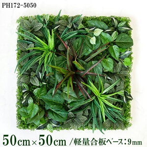 ԕǖʗΉ{[hy{HƎҗlz50cm×50cm yʍx[X / gݍ킹͎RII O[pl EH[O[ tFCN Ǌ| lHϗt  X X  fBXvC C