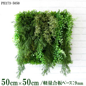 ԕǖʗΉ{[hy{HƎҗlz50cm×50cm yʍx[X / gݍ킹͎RII O[pl EH[O[ tFCN Ǌ| lHϗt  X X  fBXvC C