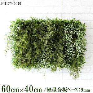 ԕǖʗΉ{[hy{HƎҗlz60cm×40cm yʍx[X / gݍ킹͎RII O[pl EH[O[ tFCN Ǌ| lHϗt  X X  fBXvC C