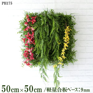 ԕǖʗΉ{[hy{HƎҗlz50cm×50cm yʍx[X / gݍ킹͎RII O[pl EH[O[ tFCN Ǌ| lHϗt  X X  fBXvC C