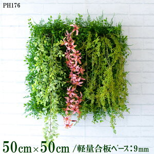 ԕǖʗΉ{[hy{HƎҗlz50cm×50cm yʍx[X / gݍ킹͎RII O[pl EH[O[ tFCN Ǌ| lHϗt  X X  fBXvC C