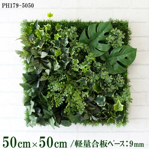 ԕǖʗΉ{[hy{HƎҗlz50cm×50cm yʍx[X / gݍ킹͎RII O[pl EH[O[ tFCN Ǌ| lHϗt  X X  fBXvC C