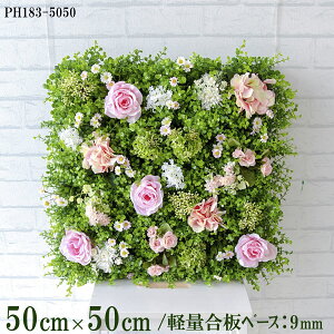 ԕǖʗΉ{[hy{HƎҗlz50cm×50cm yʍx[X / gݍ킹͎RII O[pl EH[O[ tFCN Ǌ| lHϗt  X X  fBXvC C