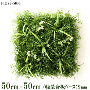 ԕǖʗΉ{[hy{HƎҗlz50cm×50cm yʍx[X / gݍ킹͎RII O[pl EH[O[ tFCN Ǌ| lHϗt  X X  fBXvC C