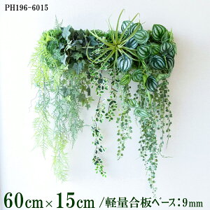 ԕǖʗΉ{[hy{HƎҗlz60cm×15cm yʍx[X / gݍ킹͎RII O[pl EH[O[ tFCN Ǌ| lHϗt  X X  fBXvC C