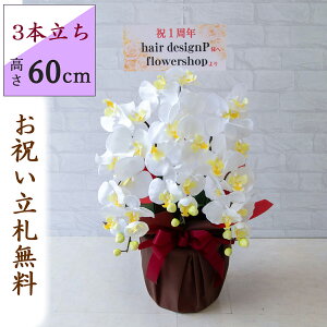  Ӓ/3{/(zCg)/H60cm/uEbsO/ JXj J@j JƏj Vzj JX j A D v[g  AC h] i j Mtg ړ] A