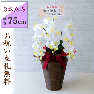 Ӓ/3{/(zCg)/H75cm/uEbsO/oXPbg28BR JXj J@j JƏj Vzj JX j A D v[g  AC h] i j 