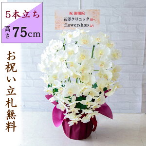  Ӓ/5{/(zCg)/H75cm/bsO/ JXj J@j JƏj Vzj JX j A D v[g  AC h] i j Mtg ړ] ACyPK5