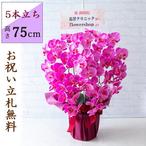  Ӓ/5{/(p[v)/H75cm/bsO/ JXj J@j JƏj Vzj JX j A D v[g  AC h] i j Mtg ړ] ACyPK5