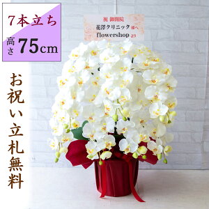  Ӓ/7{/(zCg)/H75cm/ԃbsO/ JXj J@j JƏj Vzj JX j A D v[g  AC h] i j Mtg ړ] ACyPK7