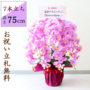  Ӓ/7{/x_[/H75cm/bsO/ JXj J@j JƏj Vzj JX j A D v[g  AC h] i j Mtg ړ] ACyPK703