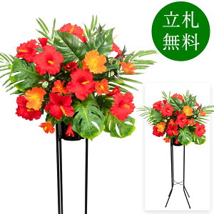  j JX X^h AW JX J ړ] t[ Mtg v[g AWg tFCN X Cxg j[A I[v ZW p`RX đ 1~ 