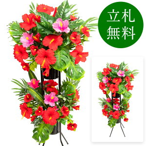  j JX X^h AW JX J ړ] t[ Mtg v[g AWg tFCN X Cxg j[A I[v ZW p`RX đ 2~ 