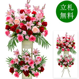  j JX X^h AW JX J ړ] t[ Mtg v[g AWg tFCN X Cxg j[A I[v ZW p`RX ʔN 2~ 2