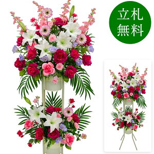  j JX X^h AW JX J ړ] t[ Mtg v[g AWg tFCN X Cxg j[A I[v ZW p`RX ʔN 2~ 2