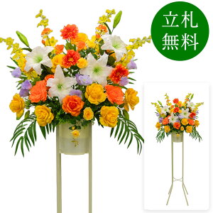  j JX X^h AW JX J ړ] t[ Mtg v[g AWg tFCN X Cxg j[A I[v ZW p`RX ʔN 1~ 1