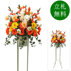  j JX X^h AW JX J ړ] t[ Mtg v[g AWg tFCN X Cxg j[A I[v ZW p`RX ʔN 1~ 1