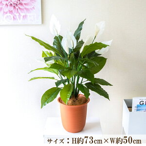  tFCN O[ |bg lH ϗt v^[ t[ AWg A[gt[ tFCNO[ Xܑ fBXvC CeA ZW fnEX V[[