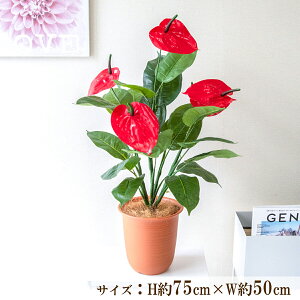  tFCN O[ |bg lH ϗt v^[ t[ AWg A[gt[ tFCNO[ Xܑ fBXvC CeA ZW fnEX V[[