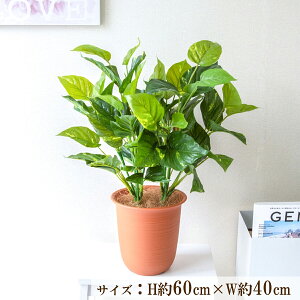 造花 フェイク グリーン ポット 人工 観葉 プランター フラワー アレンジメント アートフラワー フェイクグリーン 店舗装飾 ディスプレイ インテリア 住宅展示場 モデルハウス ショールーム