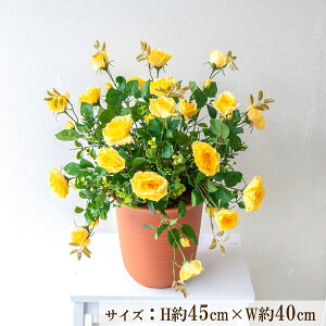  tFCN O[ |bg lH ϗt v^[ t[ AWg A[gt[ tFCNO[ Xܑ fBXvC CeA ZW fnEX V[[