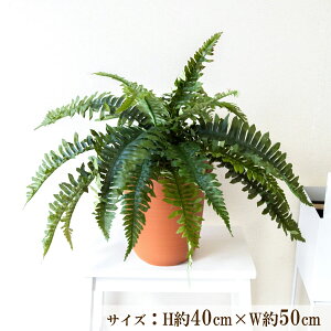  tFCN O[ |bg lH ϗt v^[ t[ AWg A[gt[ tFCNO[ Xܑ fBXvC CeA ZW fnEX V[[