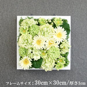 Ǌ|AW  EH[O[ tFCNO[ t[ ǖʗΉ EH[fR ǖ AW fBXvC CeA  XܑyPW122-ORI-30x30-WH Ǌ|Ebht[