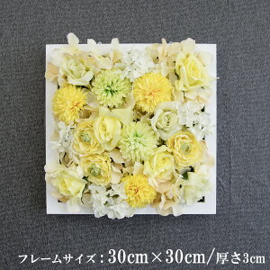 Ǌ|AW  EH[O[ tFCNO[ t[ ǖʗΉ EH[fR ǖ AW fBXvC CeA  XܑyPW123-ORI-30x30-WH Ǌ|Ebht[